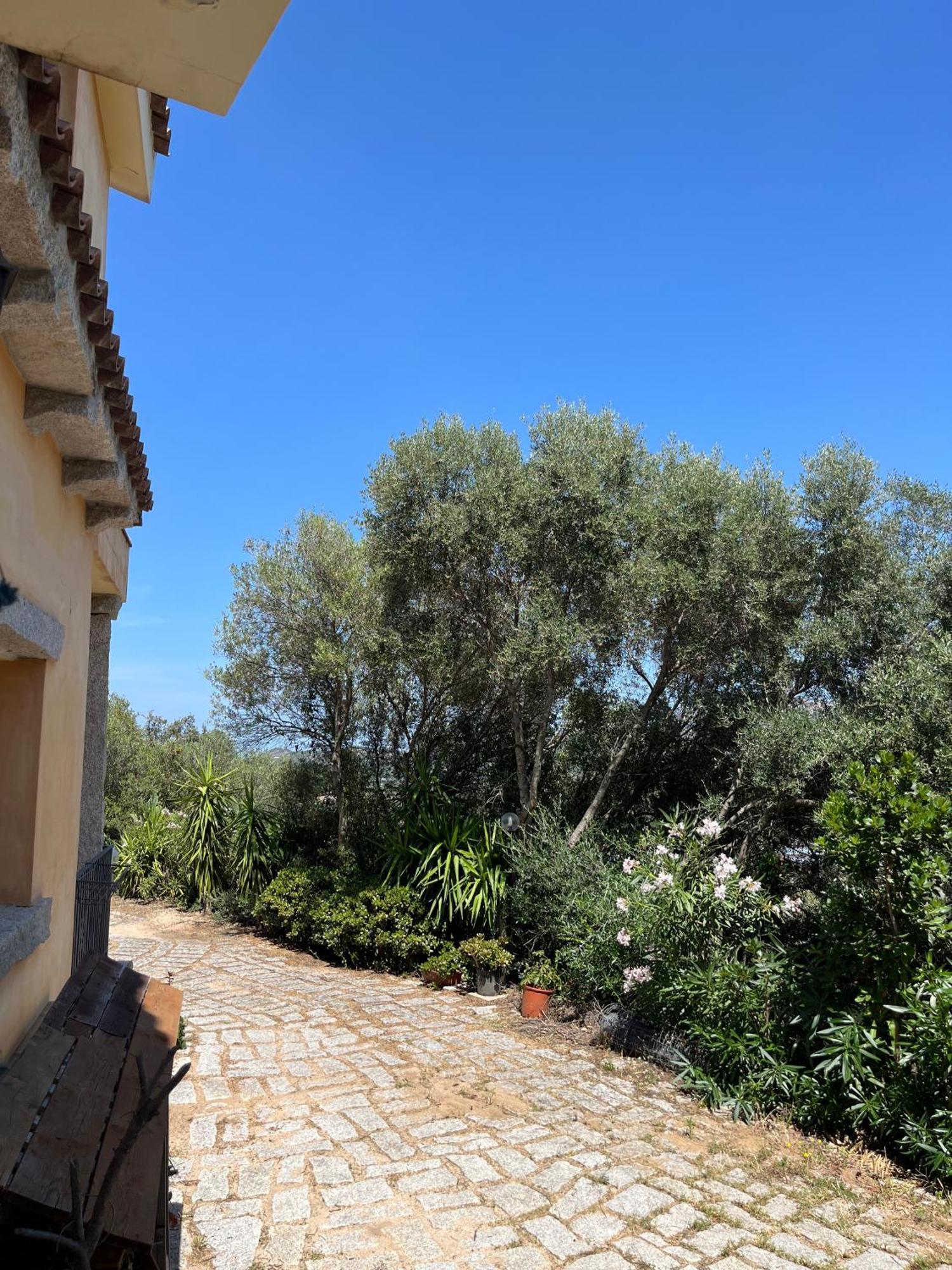 Venti Di Vacanza - Levante & Grecale Ольбия Экстерьер фото